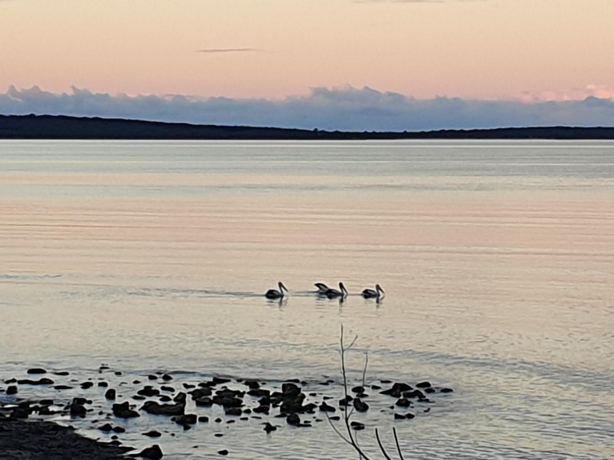 Port Lincoln Caravan Park North Shields Luaran gambar